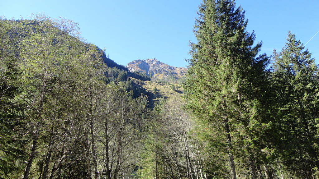 Apartament Haus Schraberger Schladming Zewnętrze zdjęcie